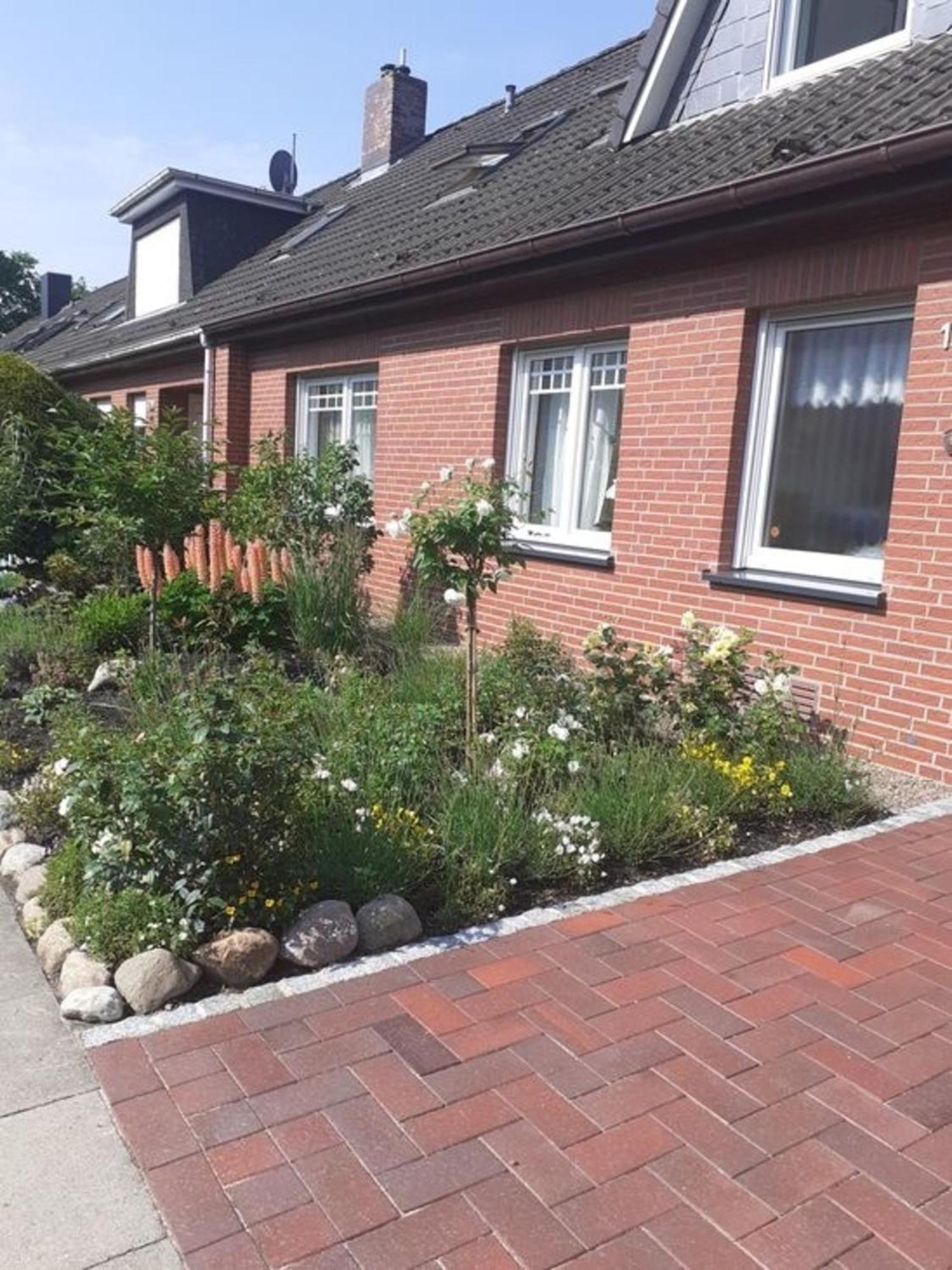Seepferdchen Cuxhaven